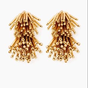 Tuckernuck Firecracker Earrings